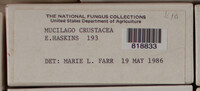 Image Associated With the Occurence